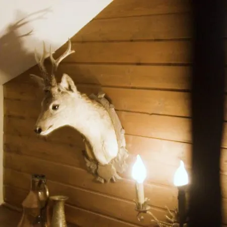 Hans * Sankt Anton am Arlberg